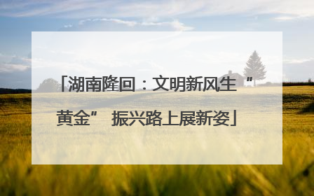 湖南隆回：文明新风生“黄金” 振兴路上展新姿
