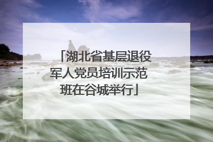 湖北省基层退役军人党员培训示范班在谷城举行