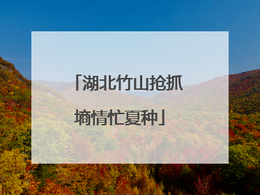 湖北竹山抢抓墒情忙夏种