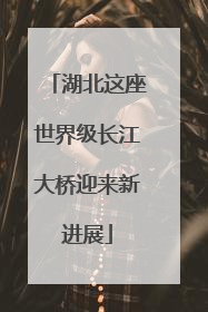湖北这座世界级长江大桥迎来新进展