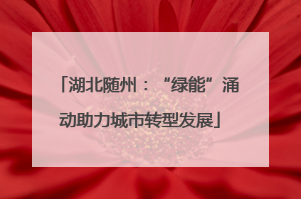 湖北随州：“绿能”涌动助力城市转型发展