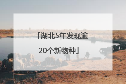 湖北5年发现逾20个新物种