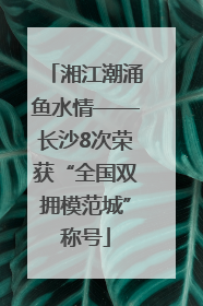 湘江潮涌鱼水情——长沙8次荣获“全国双拥模范城”称号