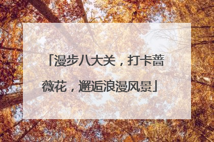 漫步八大关，打卡蔷薇花，邂逅浪漫风景
