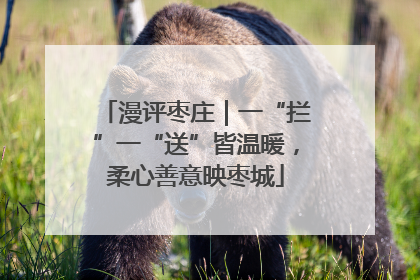 漫评枣庄｜一“拦”一“送”皆温暖，柔心善意映枣城