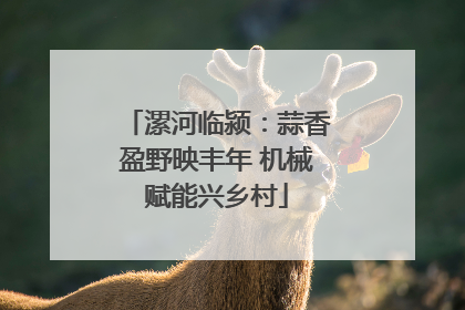 漯河临颍：蒜香盈野映丰年 机械赋能兴乡村