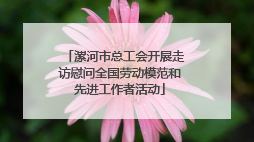 漯河市总工会开展走访慰问全国劳动模范和先进工作者活动