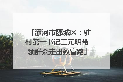 漯河市郾城区：驻村第一书记王元明带领群众走出致富路
