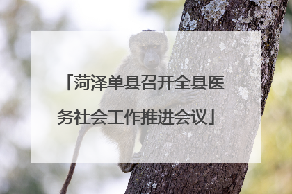 菏泽单县召开全县医务社会工作推进会议
