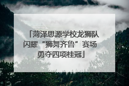 菏泽思源学校龙狮队闪耀“狮舞齐鲁”赛场 勇夺四项桂冠