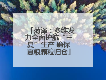 菏泽：多维发力全面护航“三夏”生产 确保夏粮颗粒归仓