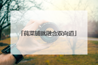 莼菜铺就融合双向道