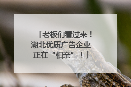 老板们看过来！湖北优质广告企业正在“相亲”！