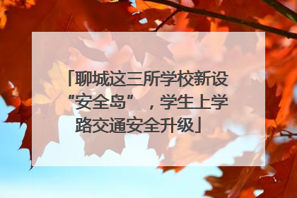 聊城这三所学校新设“安全岛”，学生上学路交通安全升级