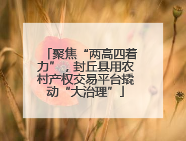 聚焦“两高四着力”，封丘县用农村产权交易平台撬动“大治理”