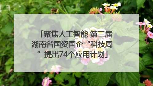 聚焦人工智能 第三届湖南省国资国企“科技周”提出74个应用计划