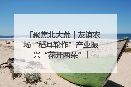 聚焦北大荒｜友谊农场“稻耳轮作”产业振兴“花开两朵”