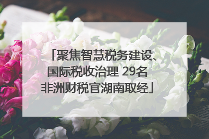 聚焦智慧税务建设、国际税收治理 29名非洲财税官湖南取经