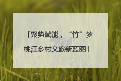 聚势赋能，“竹”梦桃江乡村文旅新蓝图