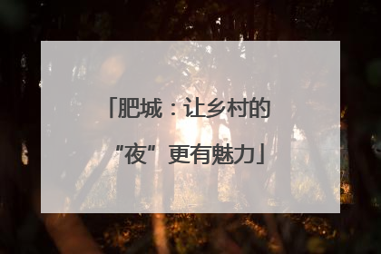 肥城：让乡村的“夜”更有魅力