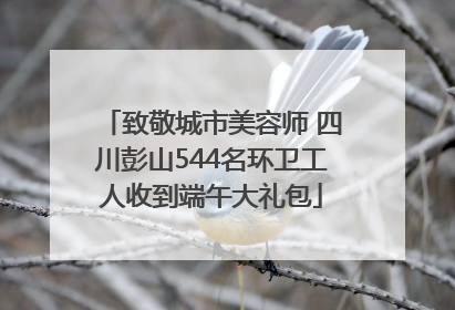 致敬城市美容师 四川彭山544名环卫工人收到端午大礼包