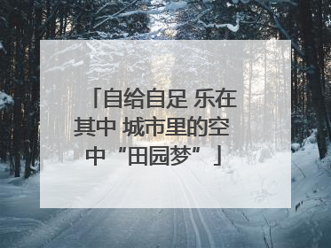 自给自足 乐在其中 城市里的空中“田园梦”