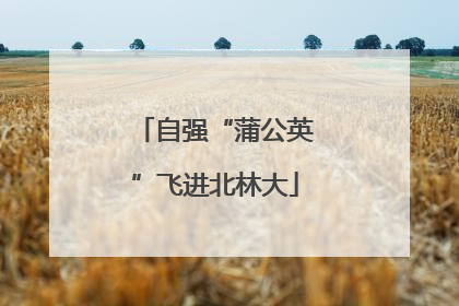 自强“蒲公英”飞进北林大