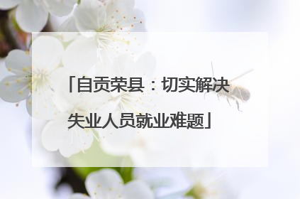 自贡荣县：切实解决失业人员就业难题