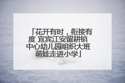 花开有时，衔接有度 宜宾江安留耕镇中心幼儿园组织大班萌娃走进小学