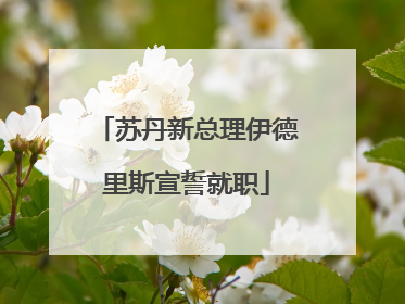苏丹新总理伊德里斯宣誓就职