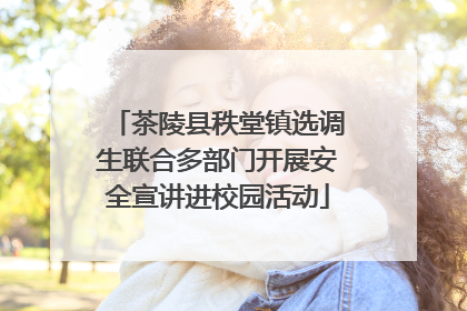 茶陵县秩堂镇选调生联合多部门开展安全宣讲进校园活动