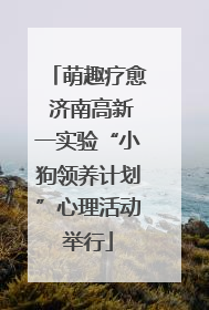 萌趣疗愈 济南高新一实验“小狗领养计划”心理活动举行