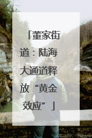 董家街道：陆海大通道释放“黄金效应”
