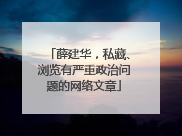 薛建华，私藏、浏览有严重政治问题的网络文章
