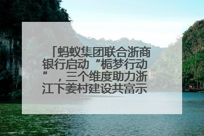 蚂蚁集团联合浙商银行启动“栀梦行动”，三个维度助力浙江下姜村建设共富示范区示范点