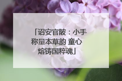 诏安官陂：小手称量本草韵 童心熔铸国粹魂