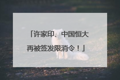 许家印、中国恒大再被签发限消令！