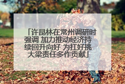 许昆林在常州调研时强调 加力推动经济持续回升向好 为扛好挑大梁责任多作贡献