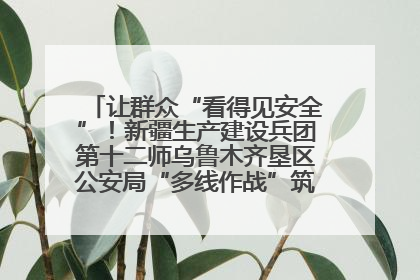 让群众“看得见安全”！新疆生产建设兵团第十二师乌鲁木齐垦区公安局“多线作战”筑牢辖区安全防线