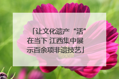 让文化遗产“活”在当下 江西集中展示百余项非遗技艺