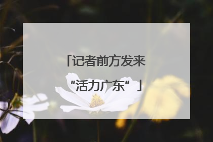 记者前方发来“活力广东”
