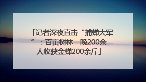 记者深夜直击“捕蝉大军”：百亩树林一晚200余人收获金蝉200余斤