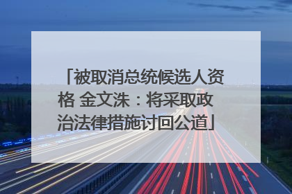 被取消总统候选人资格 金文洙：将采取政治法律措施讨回公道