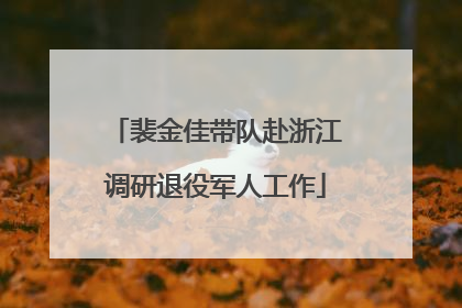 裴金佳带队赴浙江调研退役军人工作
