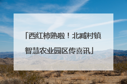 西红柿熟啦！北臧村镇智慧农业园区传喜讯