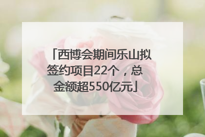 西博会期间乐山拟签约项目22个，总金额超550亿元