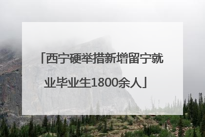 西宁硬举措新增留宁就业毕业生1800余人