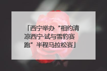 西宁举办“相约清凉西宁·试与雪豹赛跑”半程马拉松赛