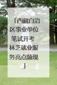 西藏自治区事业单位笔试开考 林芝就业服务亮点频现