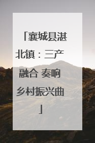 襄城县湛北镇：三产融合 奏响乡村振兴曲